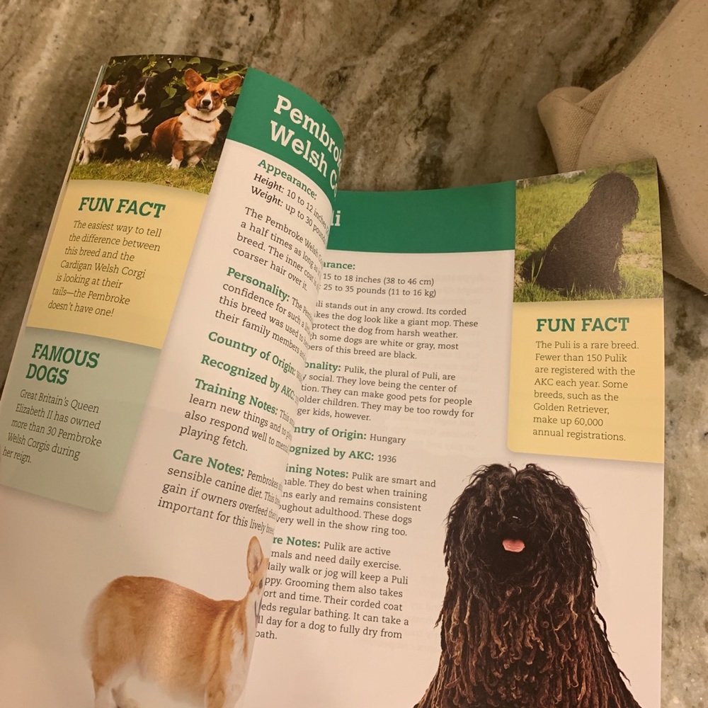 *Dogs encyclopedia book - Picture 7 of 10